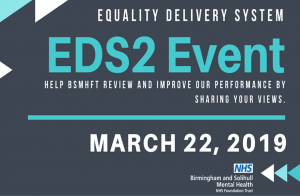 TEMP - Equality Delivery System Event flyer
